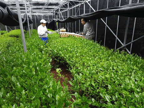 kép_2025-02-01_201438438