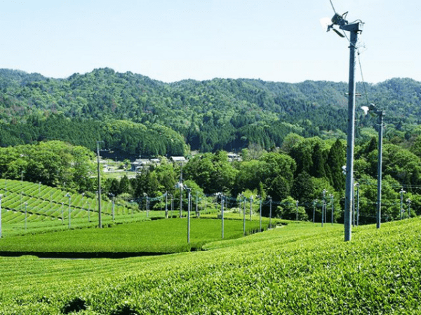 kép_2025-02-01_213508351