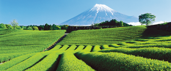 kép_2025-02-04_215614108