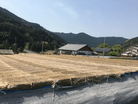 kép_2025-02-15_212400957