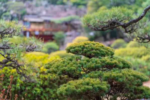 kép_2025-03-14_090446105