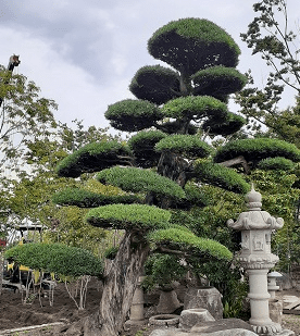 kép_2025-03-14_091824463