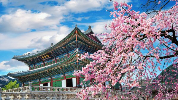 kép_2025-05-15_110334523