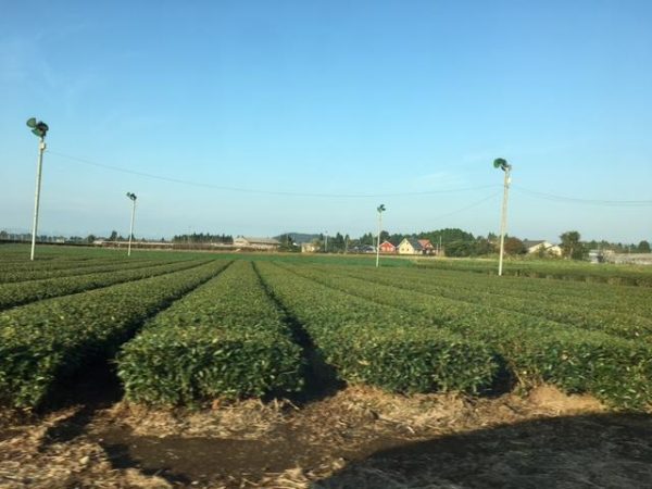 kép_2025-07-17_115650392