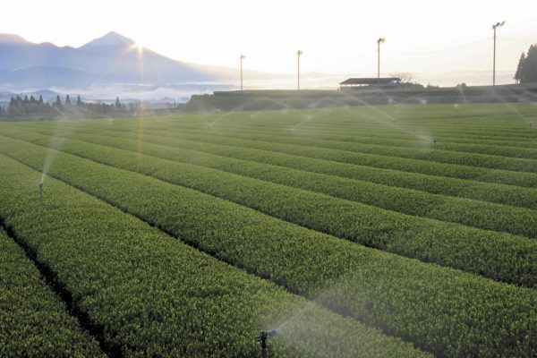 kép_2025-07-17_115705921