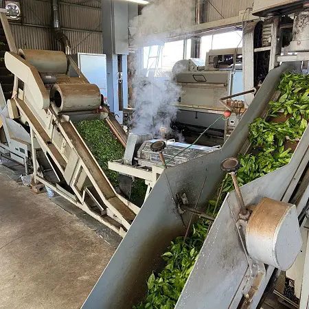 kép_2025-07-18_115510875