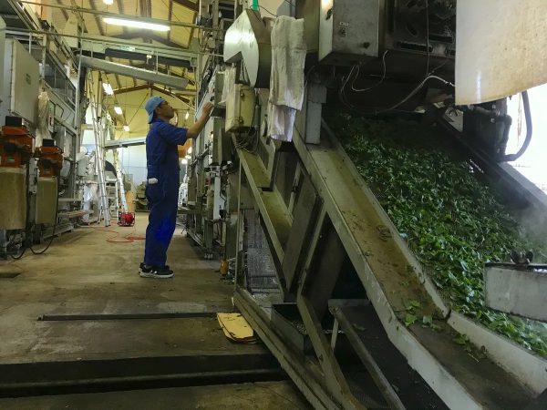 kép_2025-07-18_115532332