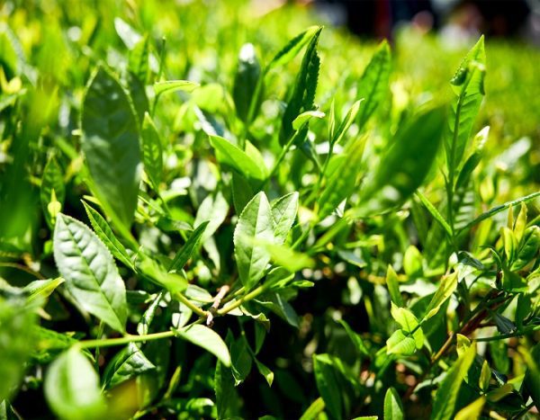 kép_2025-07-18_120058961