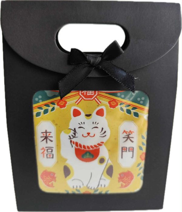 Messenger_creation_1AB04FF0-A7C9-4172-9E79-D52053F05B32