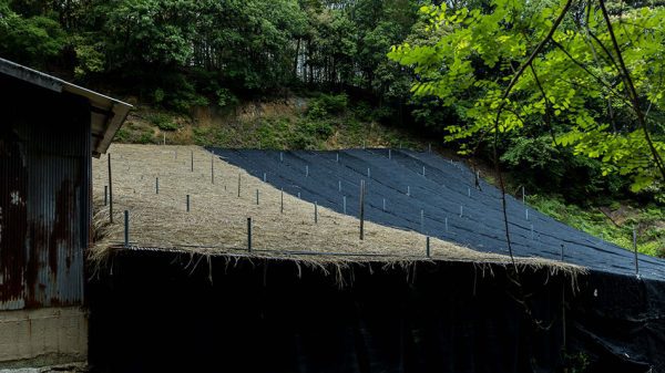 kép_2025-08-29_183454369