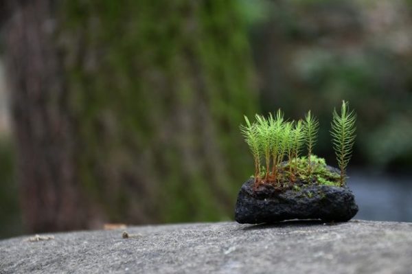 kép_2025-10-20_104932151